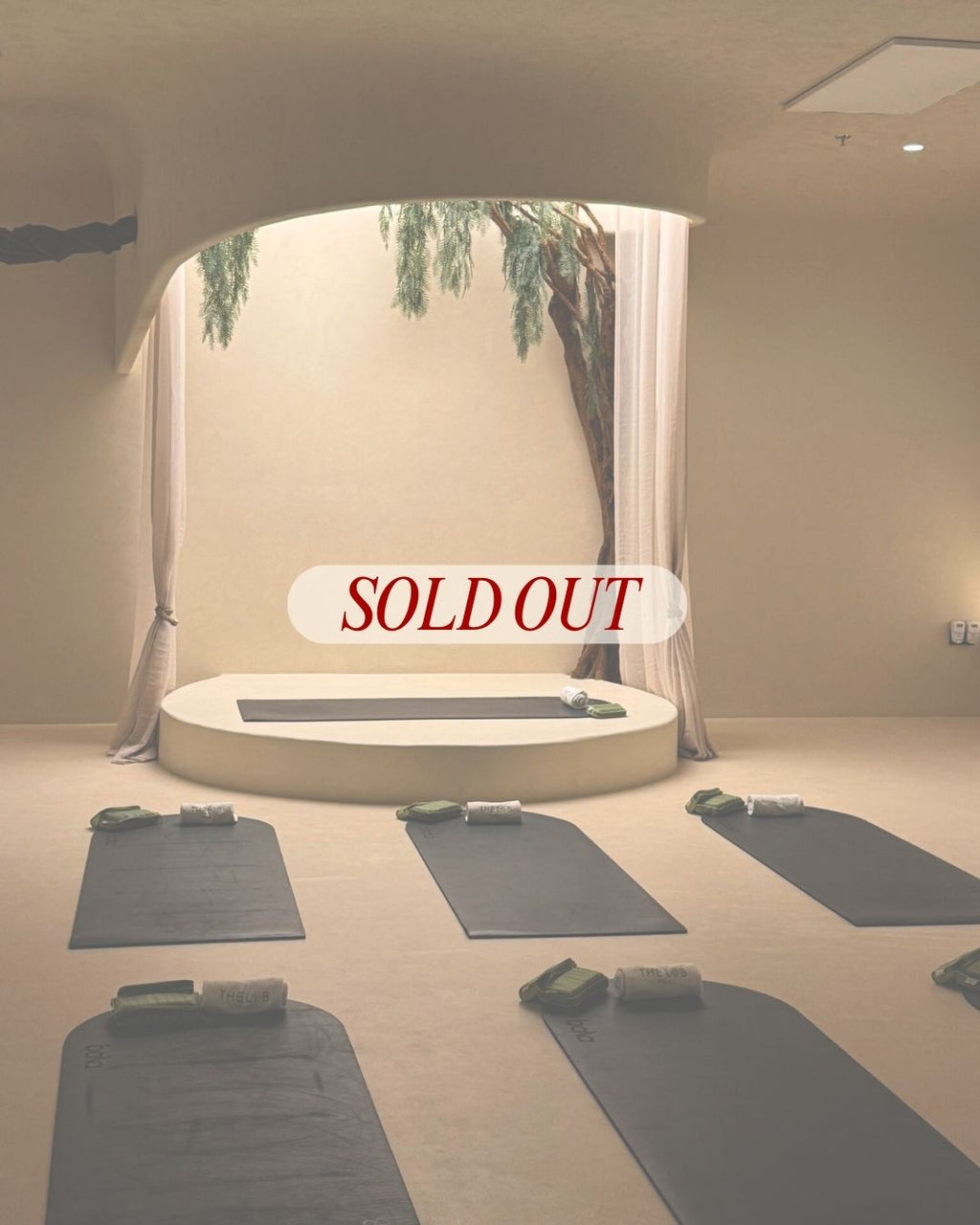 New Year Reset - January 31st