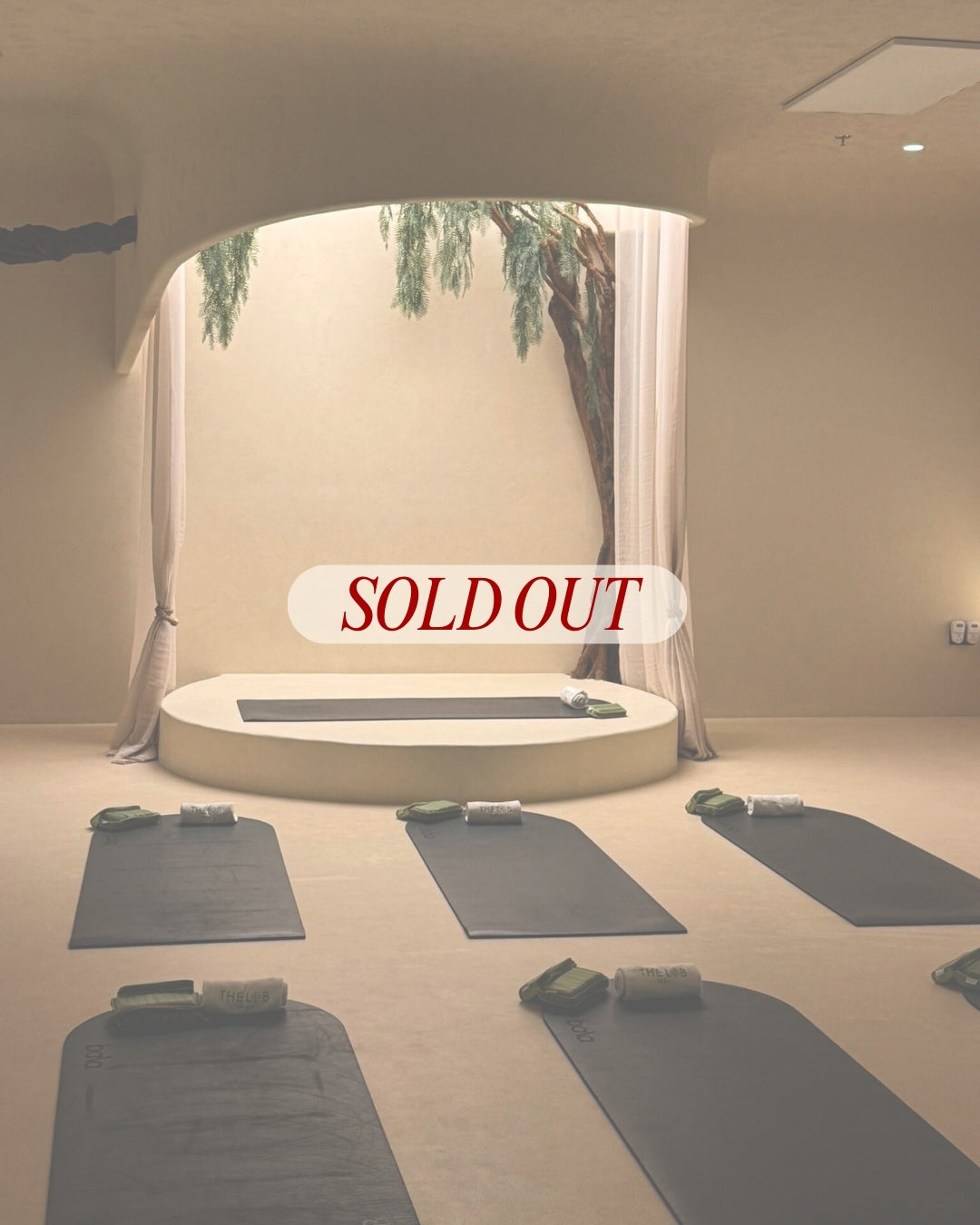 New Year Reset - January 31st