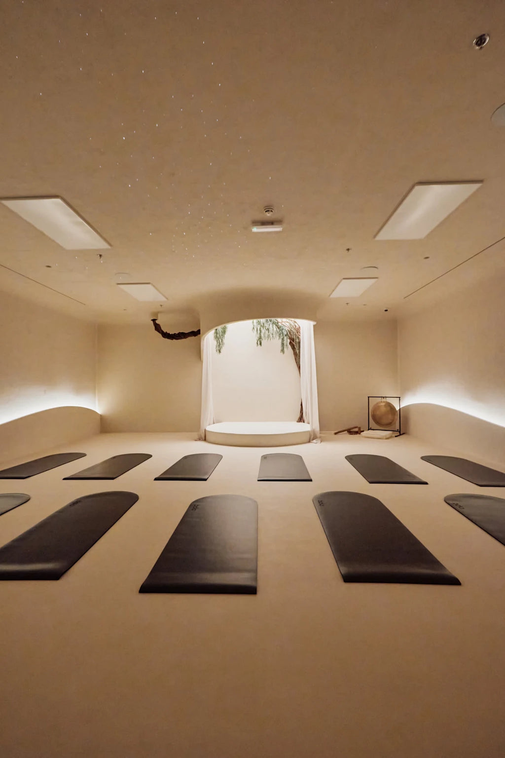 New Year Reset - January 31st